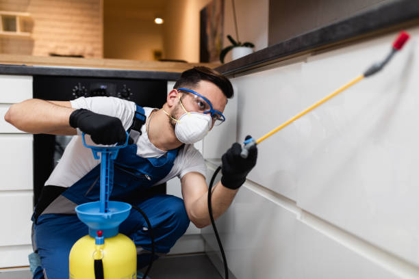 Best Pest Removal Services  in Marietta, PA