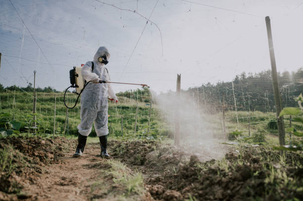 Best Mosquito Control Services  in Marietta, PA