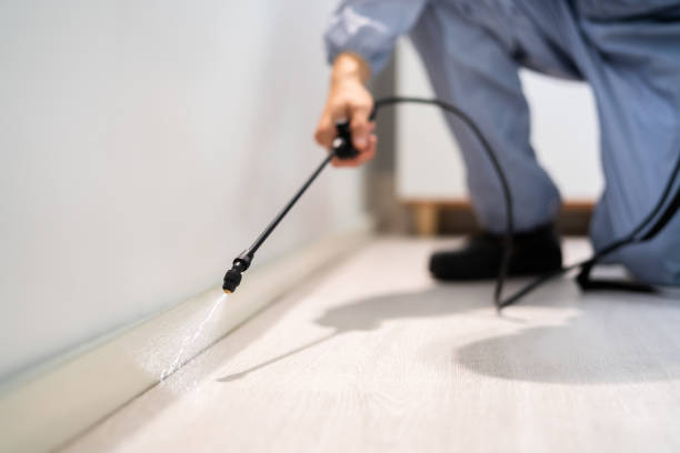 Pest Control Cost in Marietta, PA