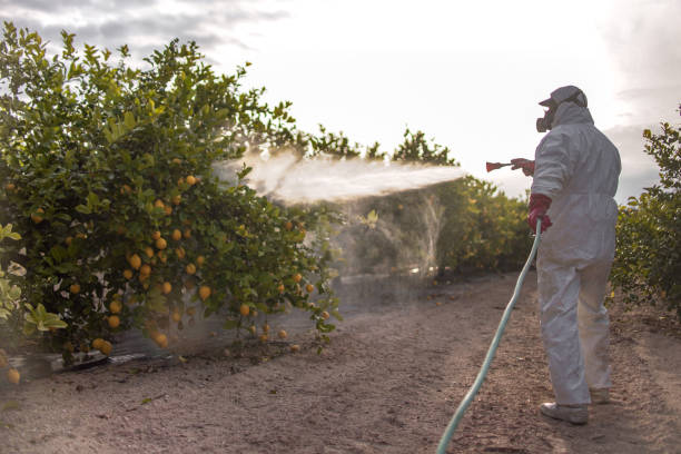 Best Wasp Removal Services  in Marietta, PA