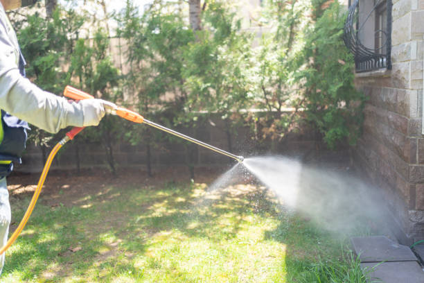 Best Local Pest Control Services  in Marietta, PA