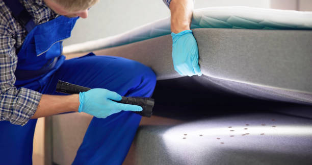 Best Emergency Pest Control  in Marietta, PA