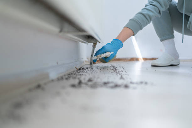 Reliable Marietta, PA Pest Control Solutions