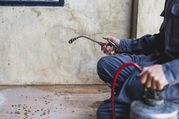 Pest Prevention Services in Marietta, PA